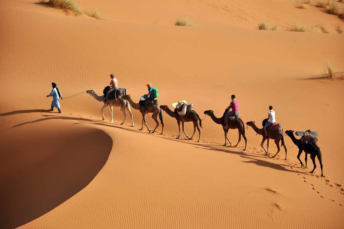 Tour From Marrakesh 4 Days - Sahara Desert Tours - Tours From Marrakesh